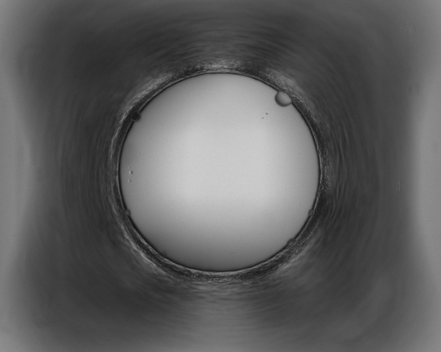 X0000086980721200704161447