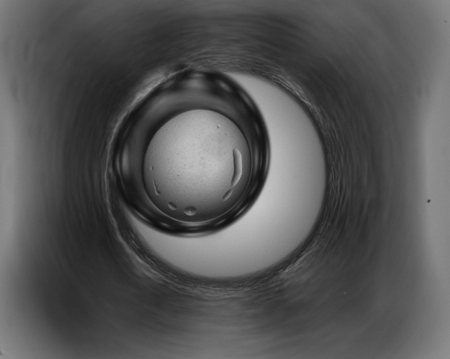 X0000086980722200704161447