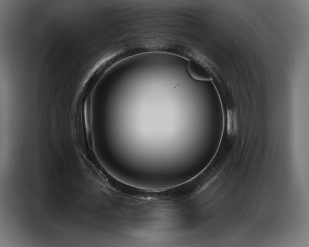 X0000086980723200704161447