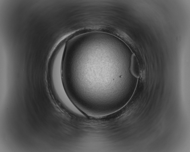 X0000086980724200704161447