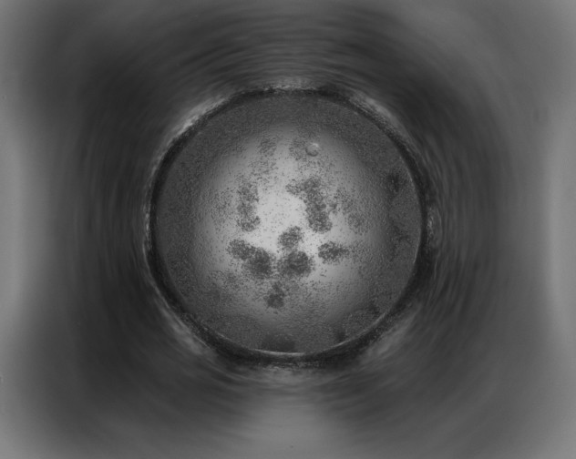 X0000086980725200704161447