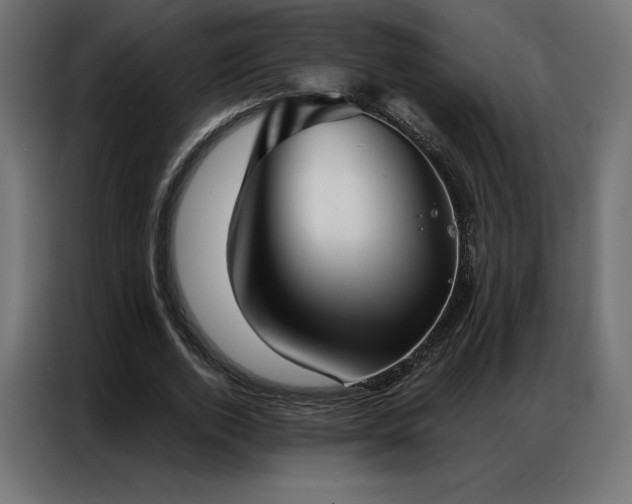 X0000086980728200704161448