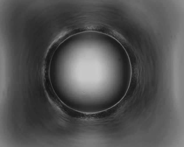 X0000086980730200704161448