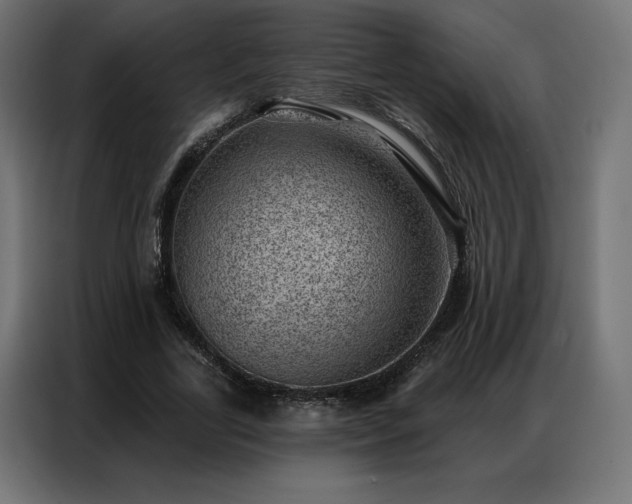 X0000086980731200704161448