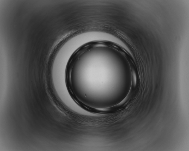 X0000086980732200704161448