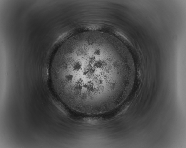X0000086980733200704161448