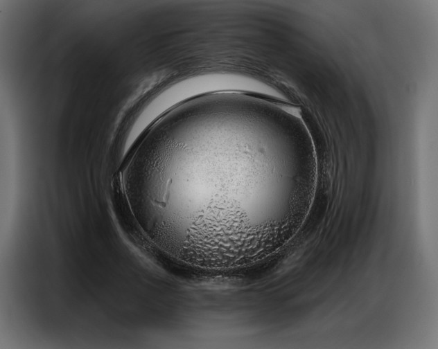 X0000086980734200704161448