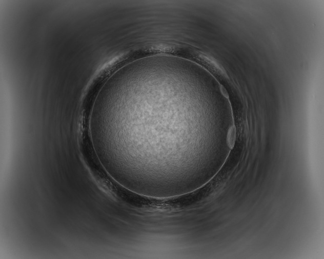 X0000086980736200704161448