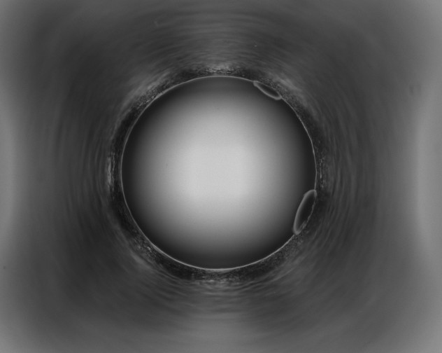 X0000086980740200704161448