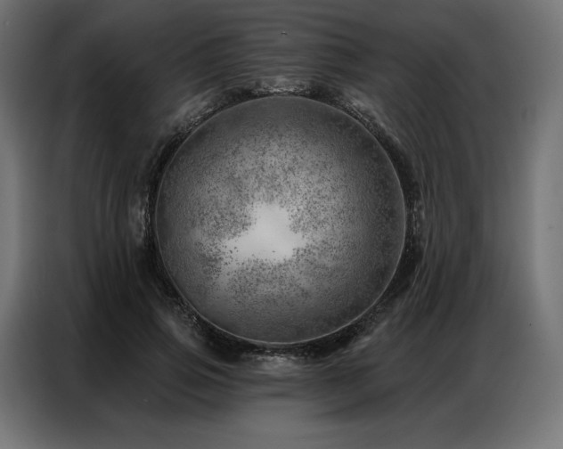 X0000086980741200704161448
