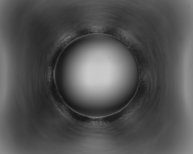 X0000086980744200704161448