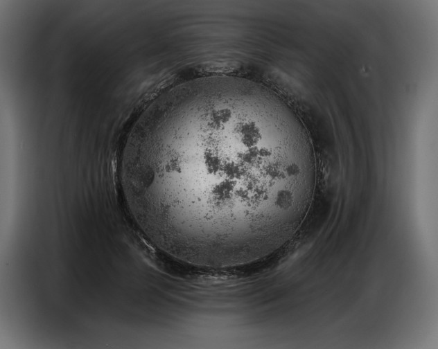 X0000086980745200704161448