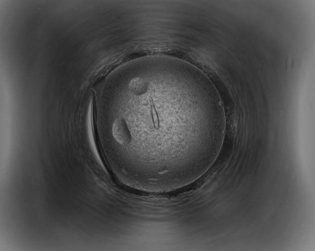 X0000086980746200704161448