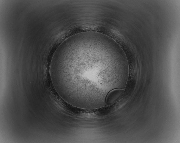 X0000086980749200704161448