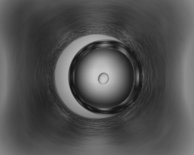 X0000086980750200704161448