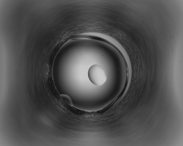 X0000086980752200704161448