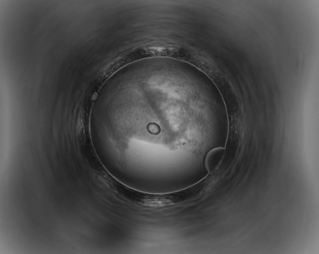 X0000086980754200704161448