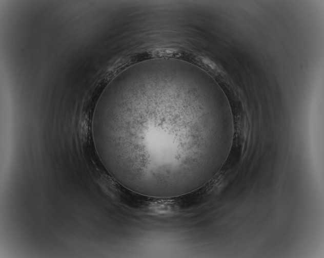 X0000086980761200704161448