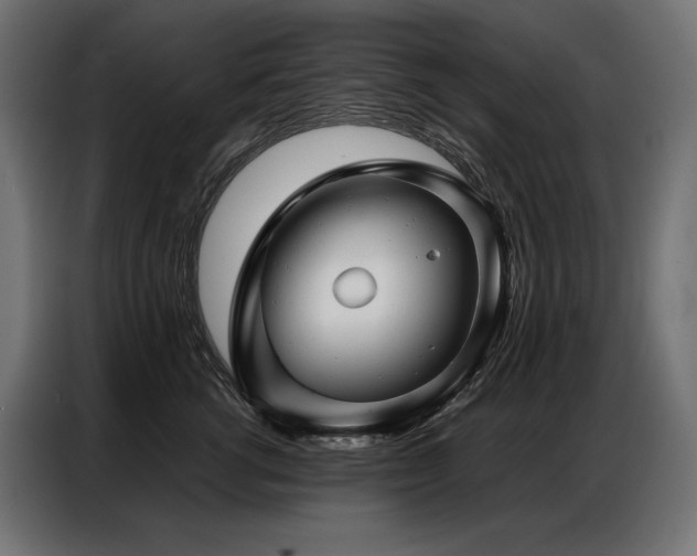 X0000086980762200704161448