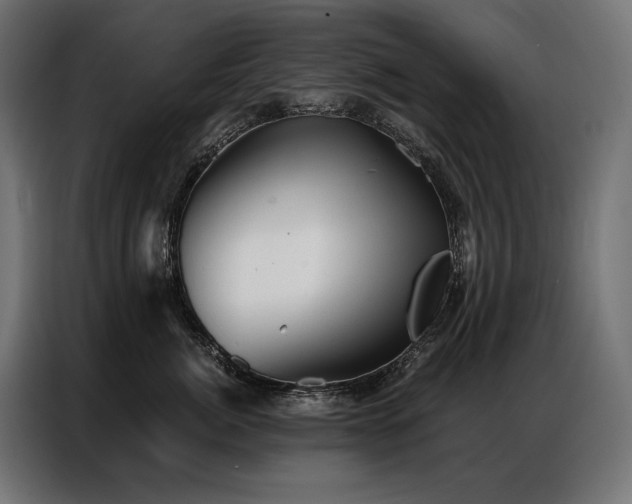 X0000086980764200704161448