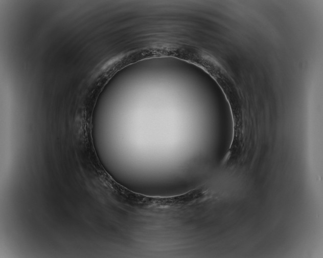 X0000086980773200704161447