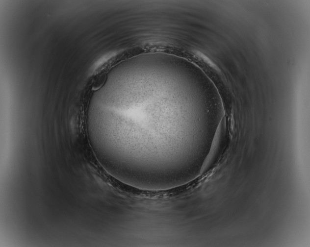 X0000086980775200704161447