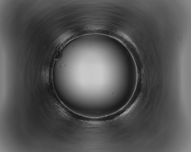 X0000086980777200704161447