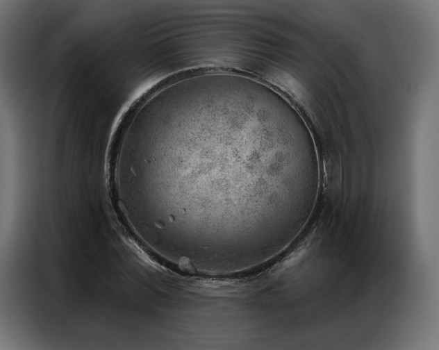 X0000086980780200704161447