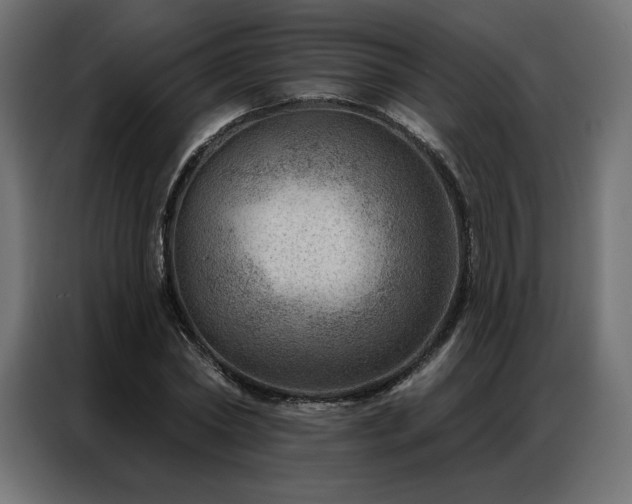 X0000086980782200704161447