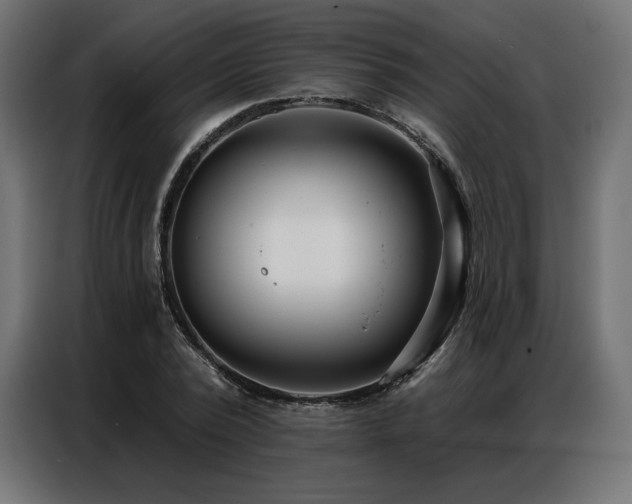 X0000086980784200704161447