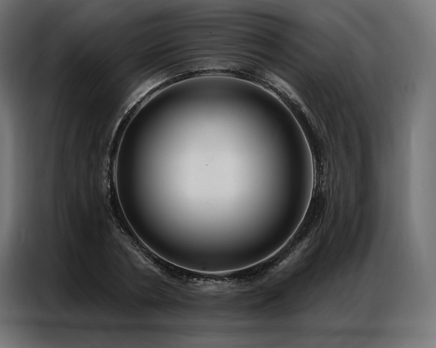 X0000086980786200704161447