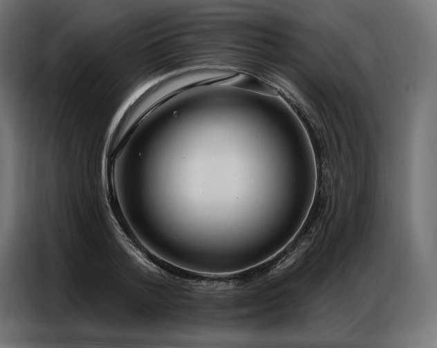 X0000086980788200704161447