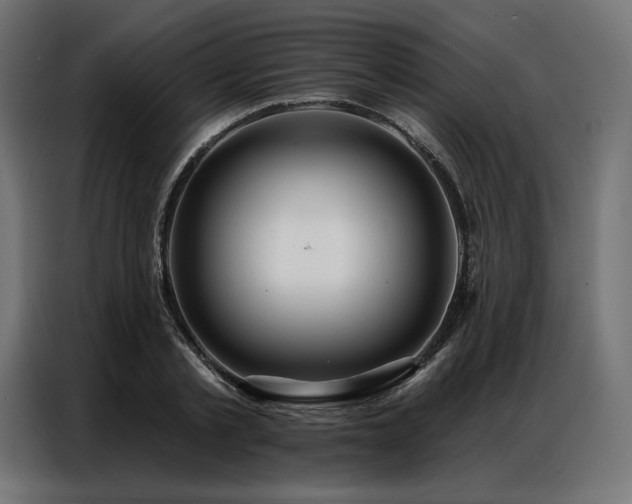 X0000086980789200704161447