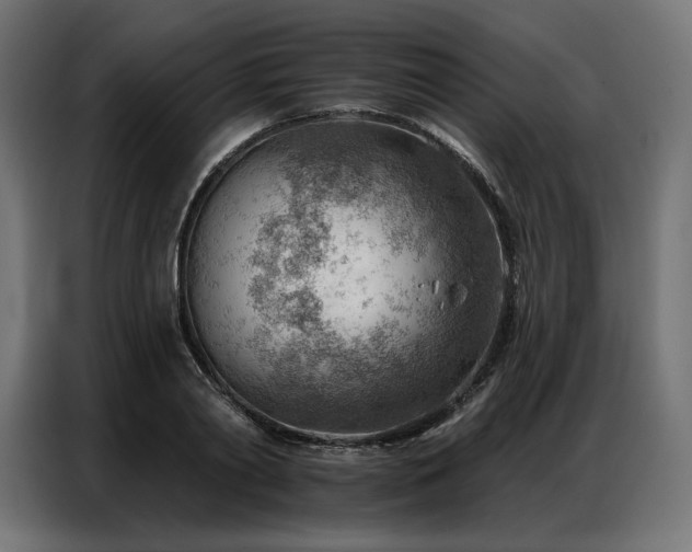 X0000086980790200704161447