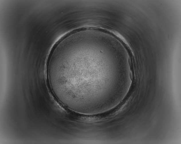 X0000086980791200704161447