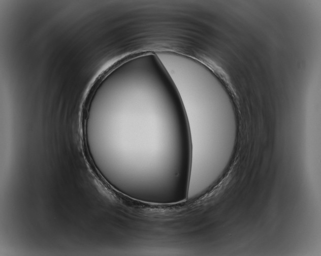 X0000086980792200704161447