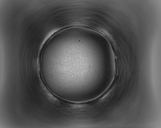 X0000086980796200704161447