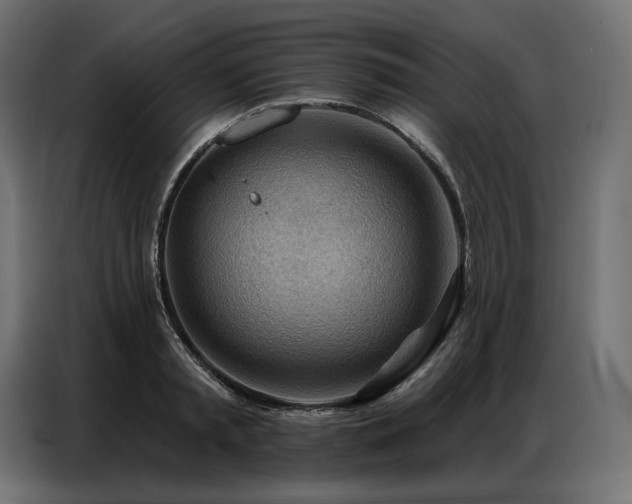 X0000086980797200704161447
