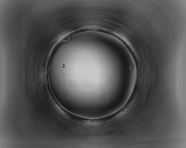 X0000086980799200704161447