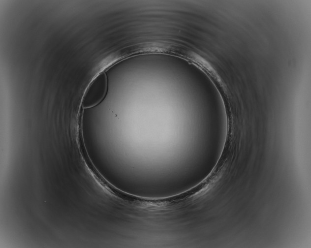 X0000086980802200704161447