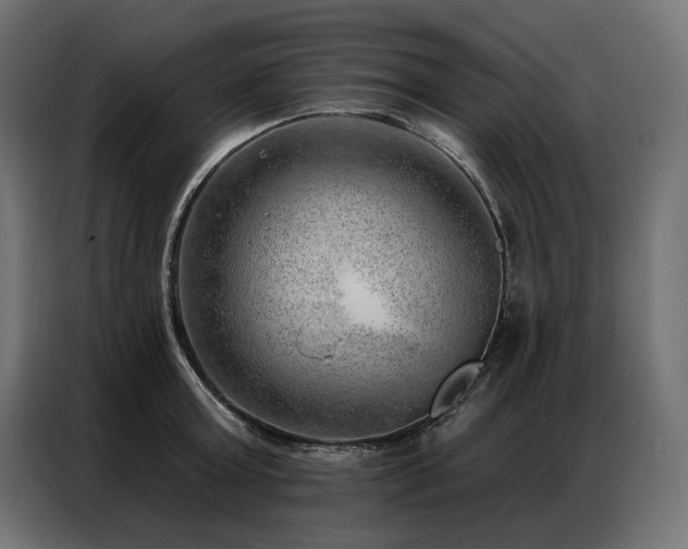 X0000086980803200704161447
