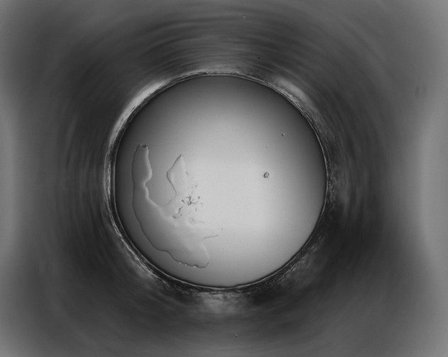 X0000086980804200704161447