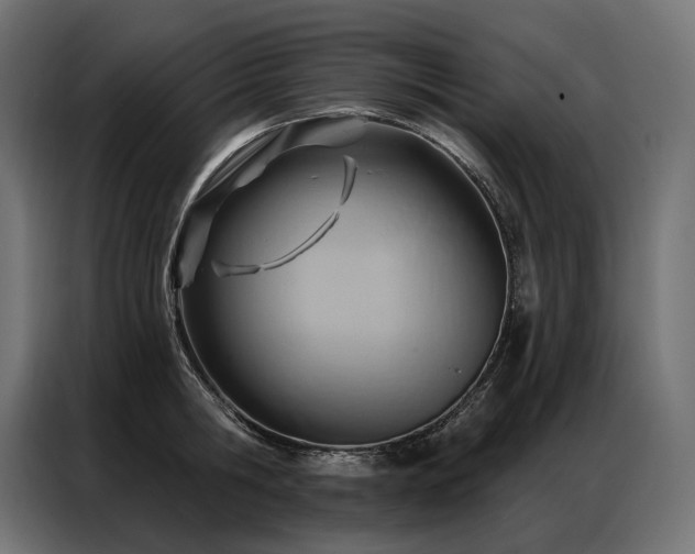 X0000086980806200704161447
