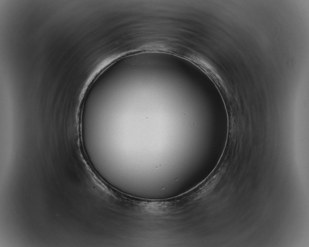 X0000086980808200704161447