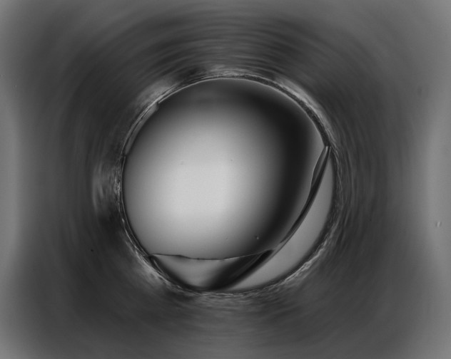 X0000086980809200704161447