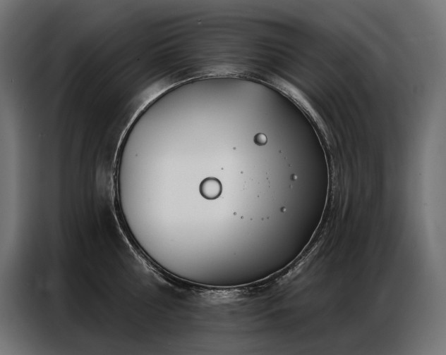 X0000086980810200704161447