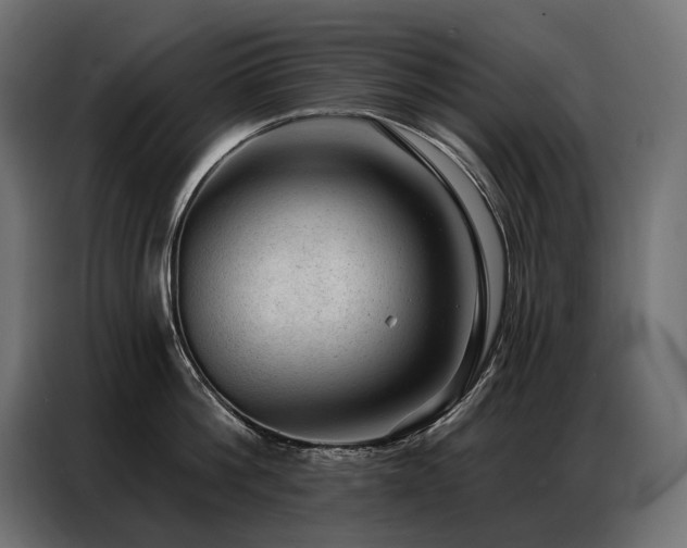 X0000086980812200704161447