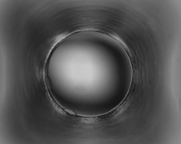 X0000086980813200704161447
