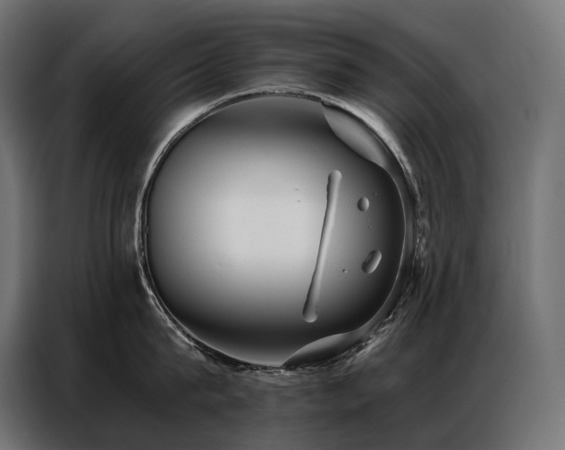 X0000086980815200704161447