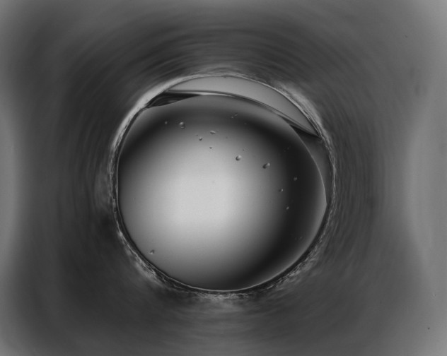 X0000086980816200704161447